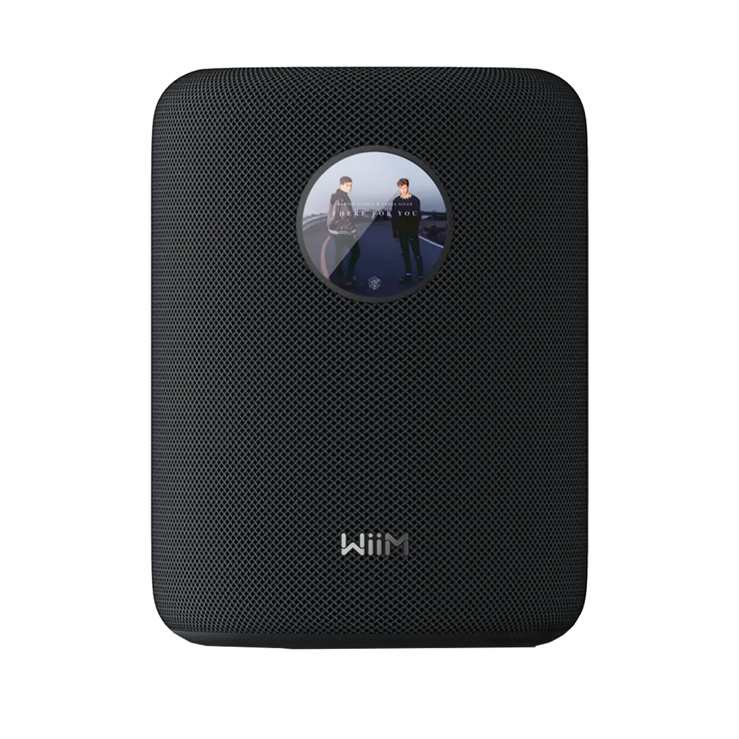 WiiM Sound  I  Hi-Res Smart Speaker  I  100 W, Wi-Fi 6E, Bluetooth 5.3, Touch-Display & Multiroom